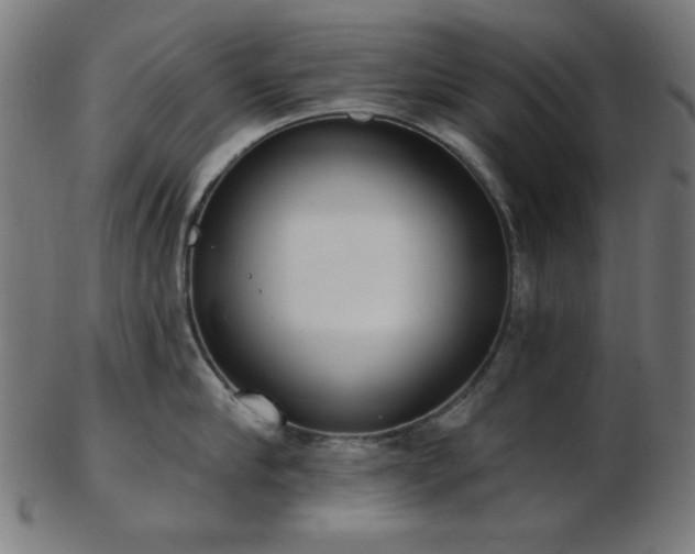 X0000103460910200809121600