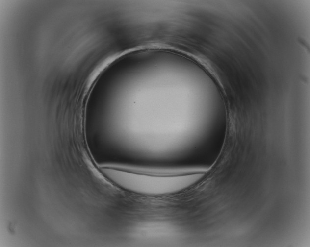X0000103460911200809121600