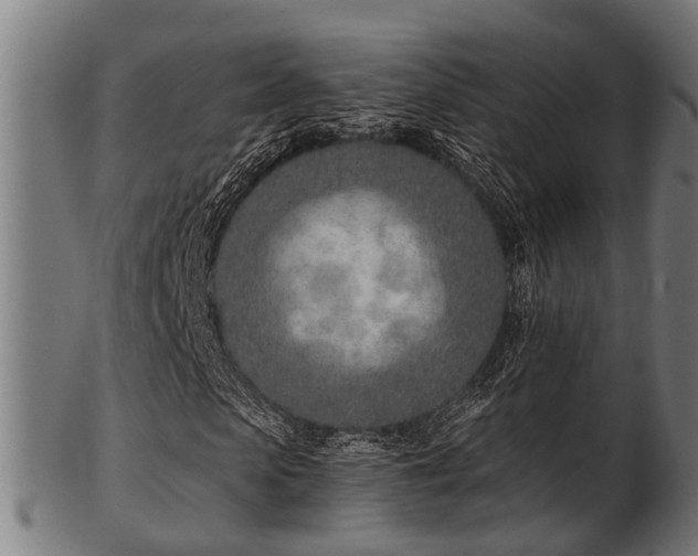 X0000103460913200809121559