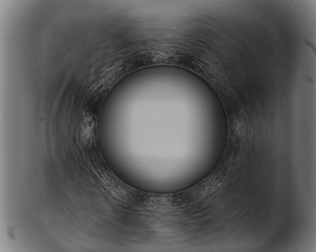 X0000103460914200809121559