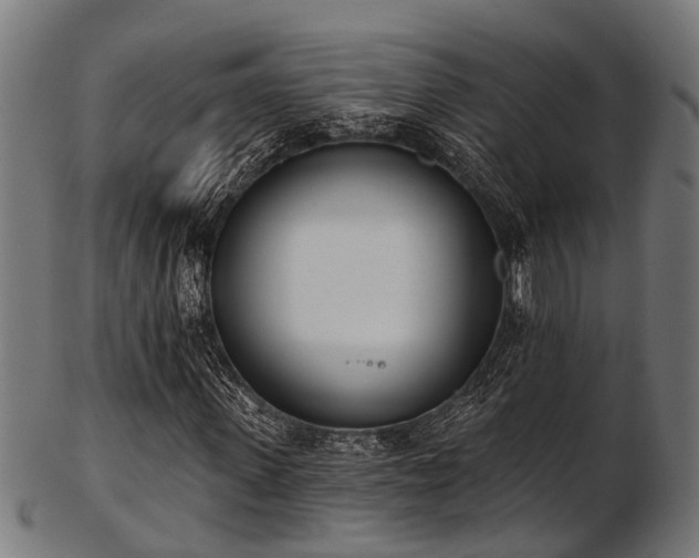 X0000103460915200809121600