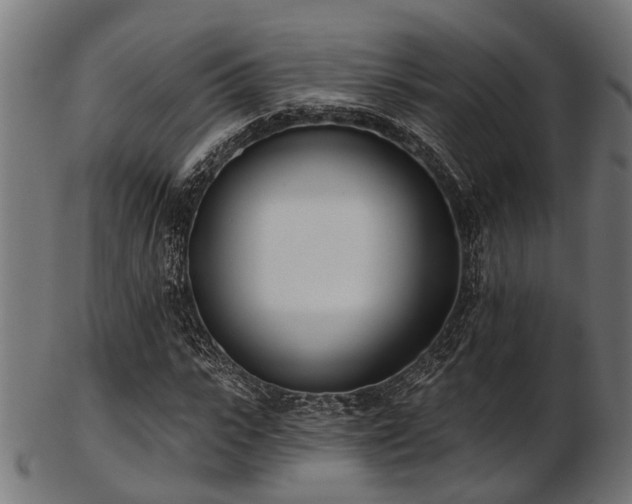X0000103460919200809121600