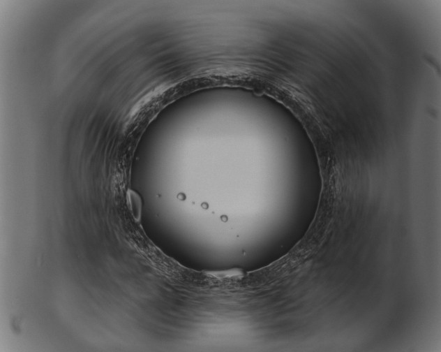 X0000103460920200809121600