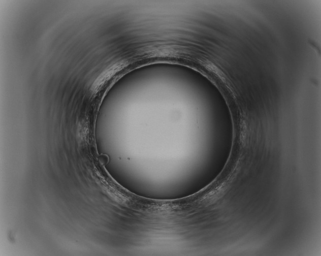 X0000103460922200809121600