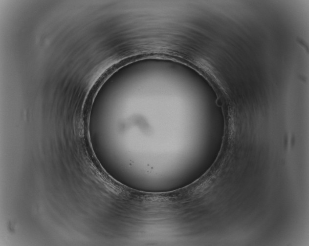 X0000103460924200809121600