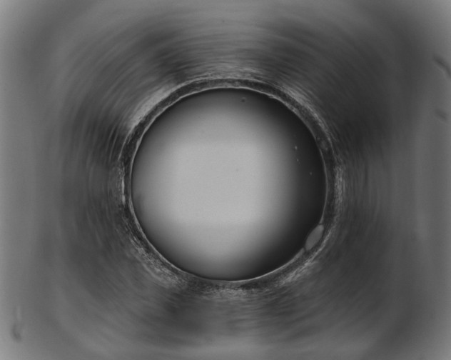 X0000103460925200809121600