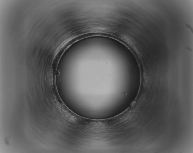 X0000103460931200809121600
