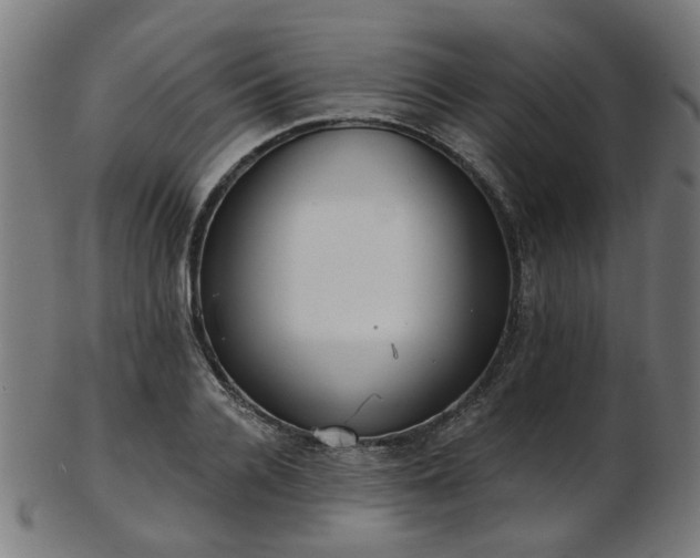 X0000103460936200809121600