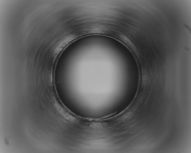 X0000103460938200809121600