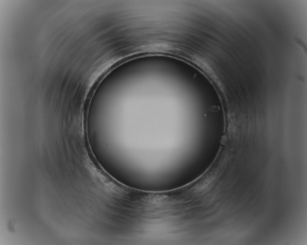 X0000103460939200809121600