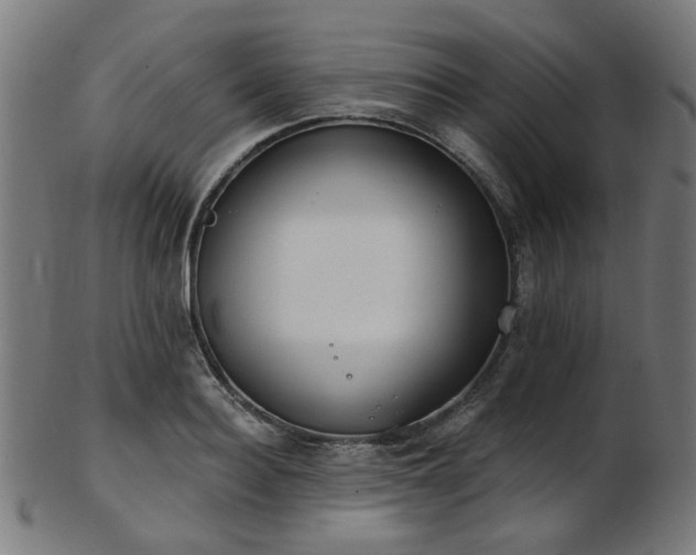 X0000103460940200809121600