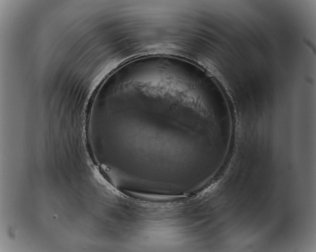X0000103460941200809121600