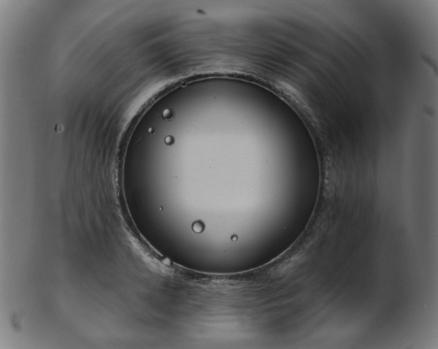 X0000103460942200809121600
