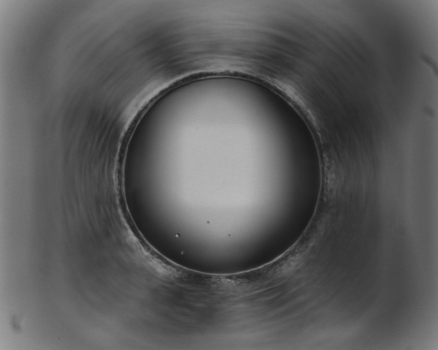 X0000103460943200809121600