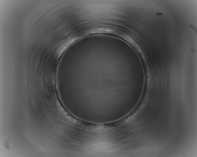 X0000103460945200809121600