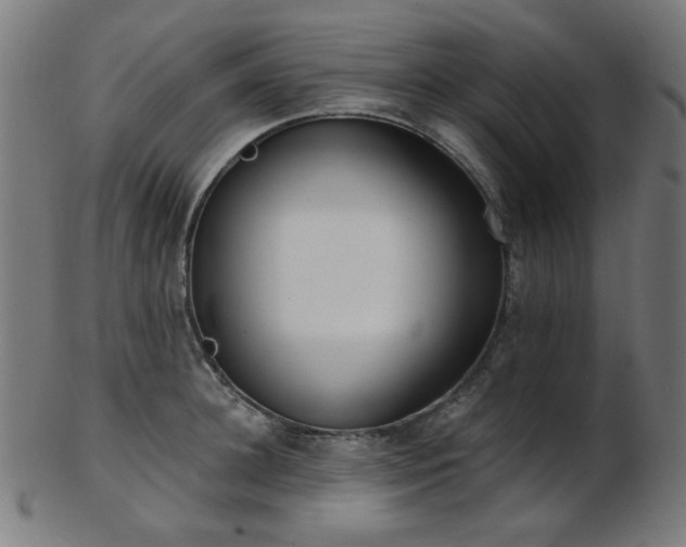 X0000103460948200809121600