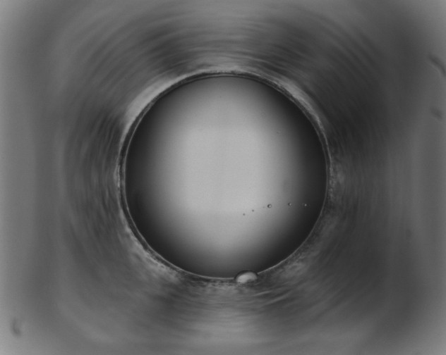 X0000103460951200809121600