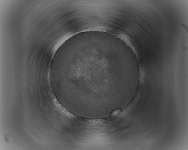 X0000103460952200809121600