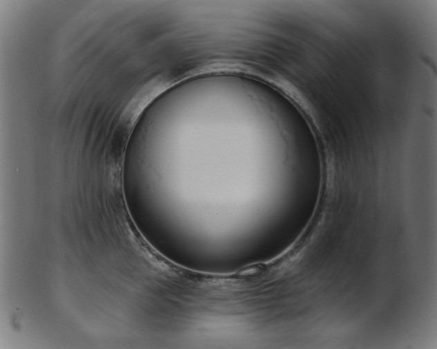 X0000103460953200809121600