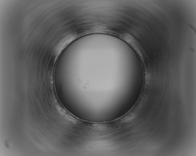 X0000103460954200809121600