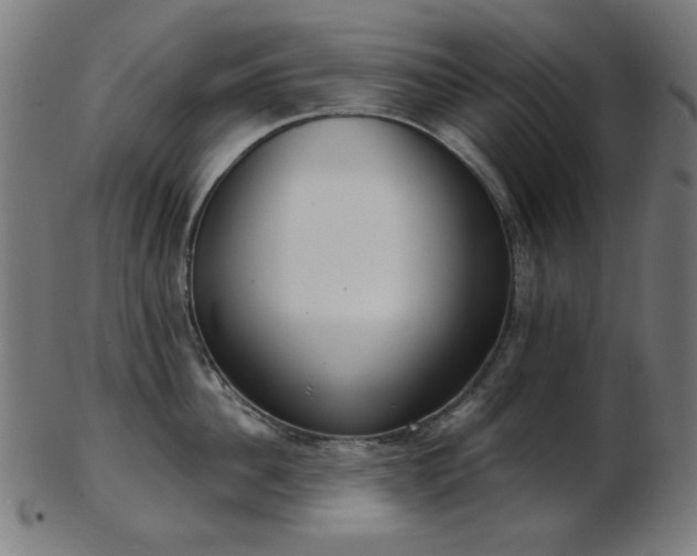 X0000103460956200809121600