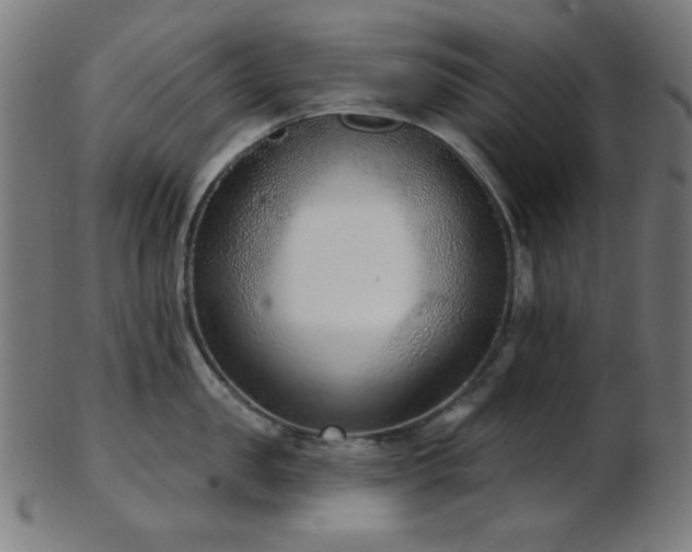 X0000103460957200809121600