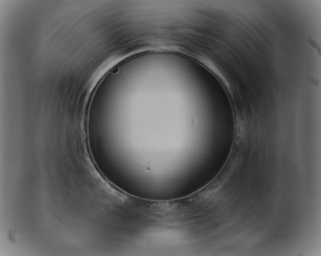 X0000103460959200809121600