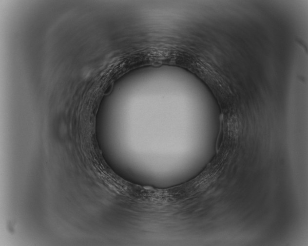 X0000103460961200809121559