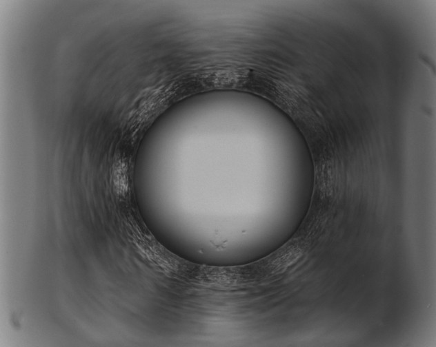 X0000103460962200809121559
