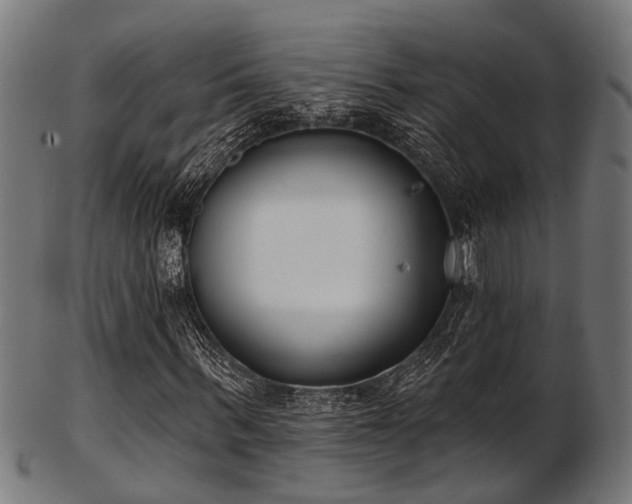 X0000103460963200809121559