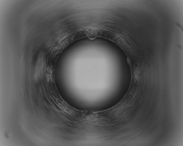 X0000103460964200809121559
