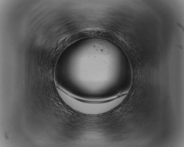 X0000103460965200809121559
