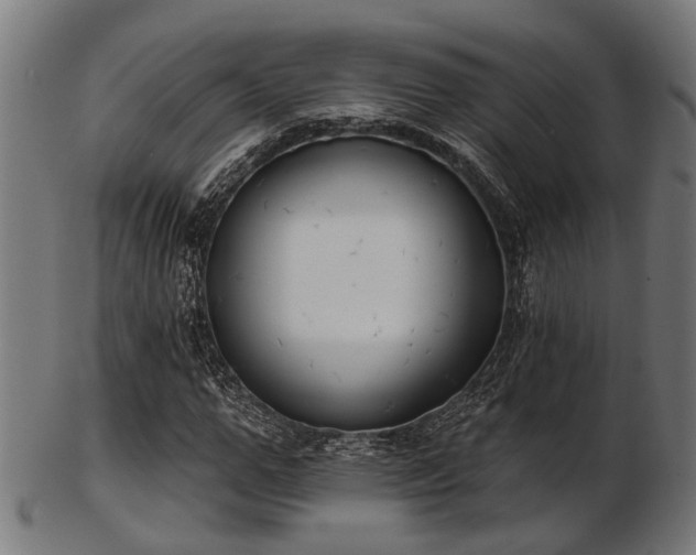 X0000103460967200809121559