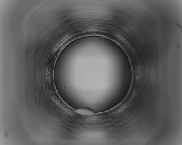 X0000103460969200809121559