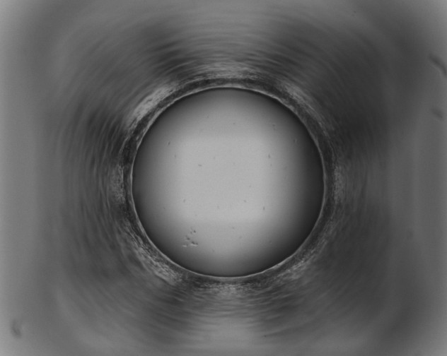 X0000103460970200809121559