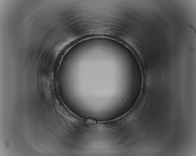 X0000103460971200809121559