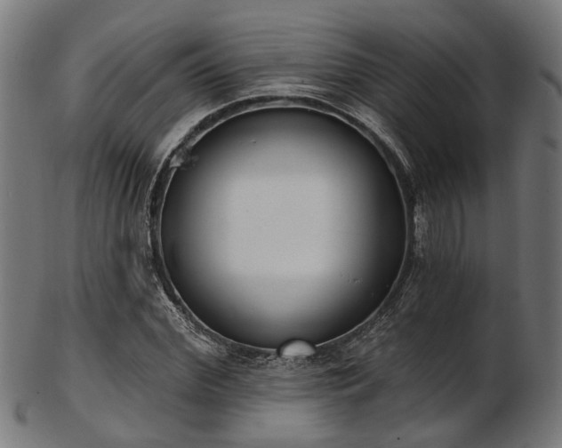 X0000103460972200809121559