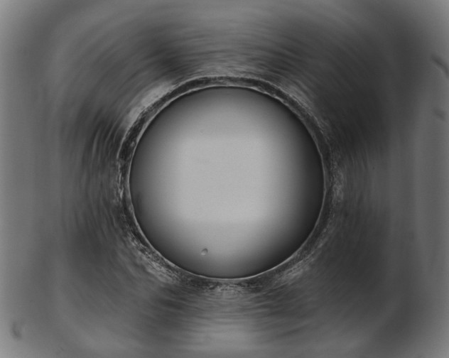 X0000103460974200809121559