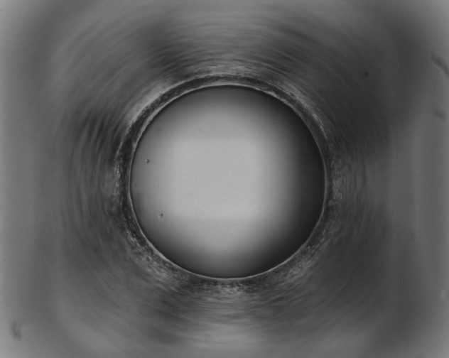 X0000103460975200809121559