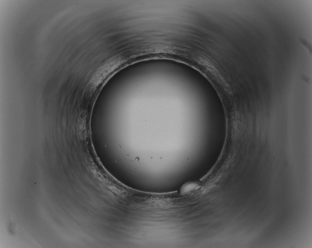 X0000103460977200809121559