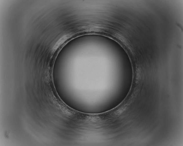 X0000103460978200809121559