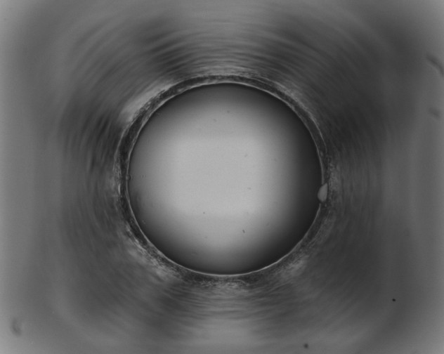 X0000103460979200809121559