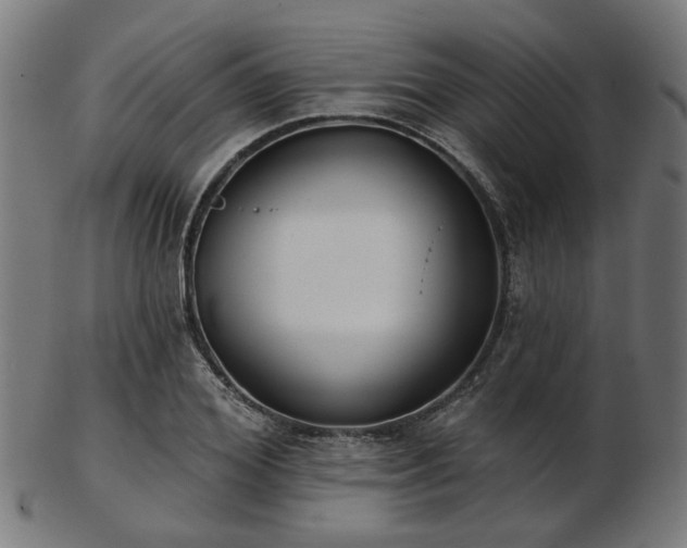 X0000103460980200809121559