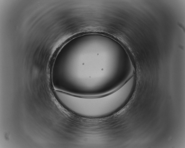 X0000103460981200809121559