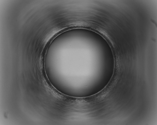 X0000103460983200809121559