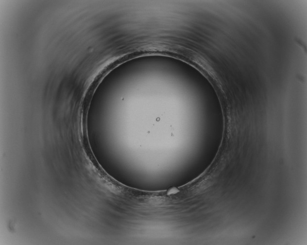 X0000103460984200809121559