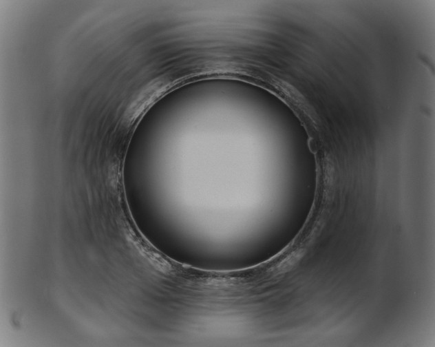 X0000103460985200809121559