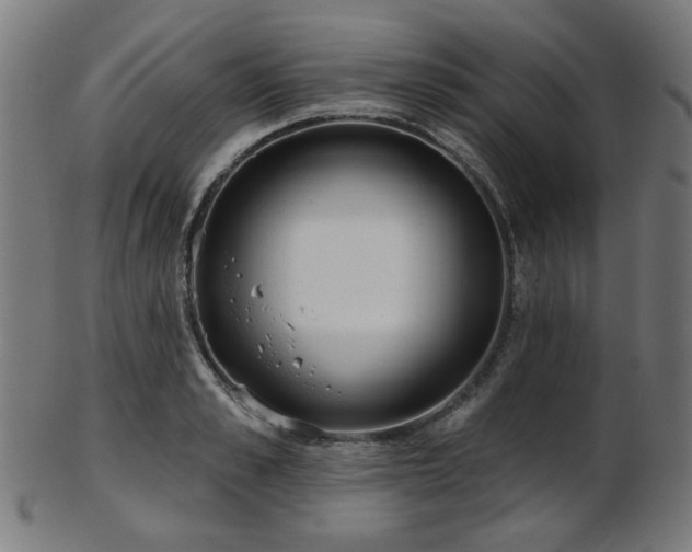 X0000103460989200809121559