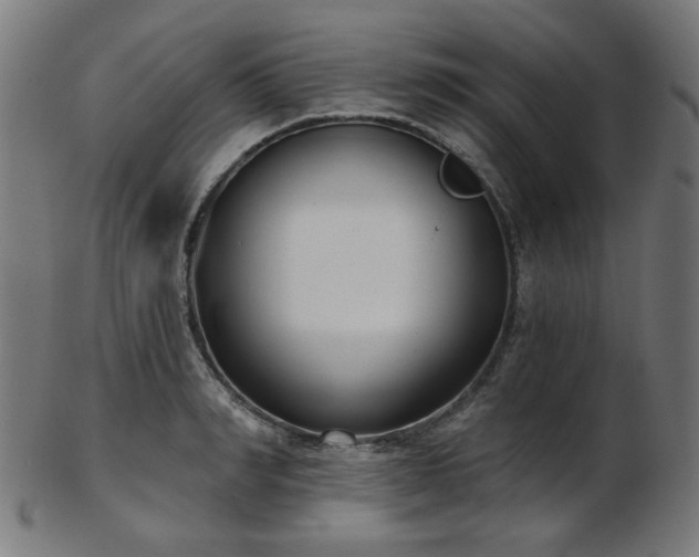 X0000103460990200809121559