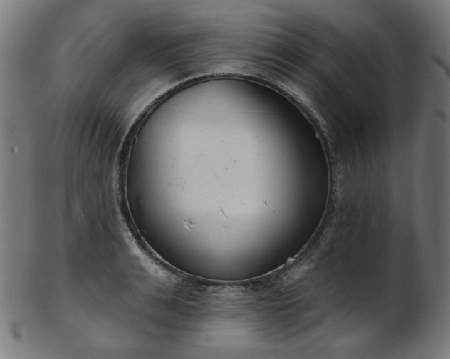 X0000103460991200809121559